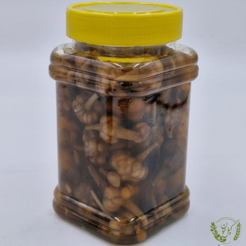 قیمت سیر گل